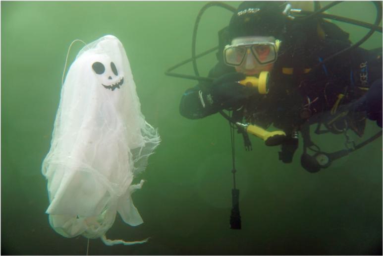Erfolgreiches Halloweentauchen 2025